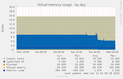 Virtual memory usage