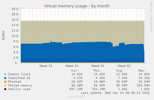 Virtual memory usage