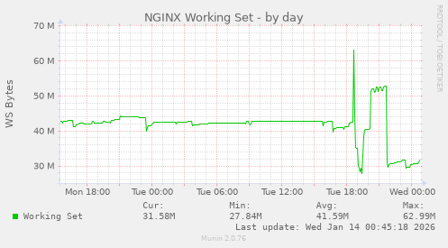 NGINX Working Set