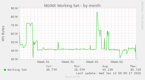 NGINX Working Set