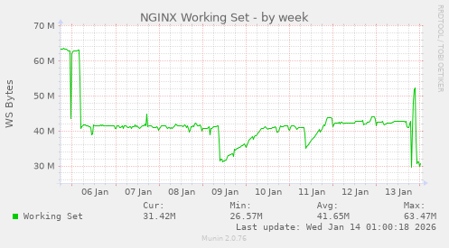 NGINX Working Set