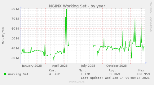 NGINX Working Set
